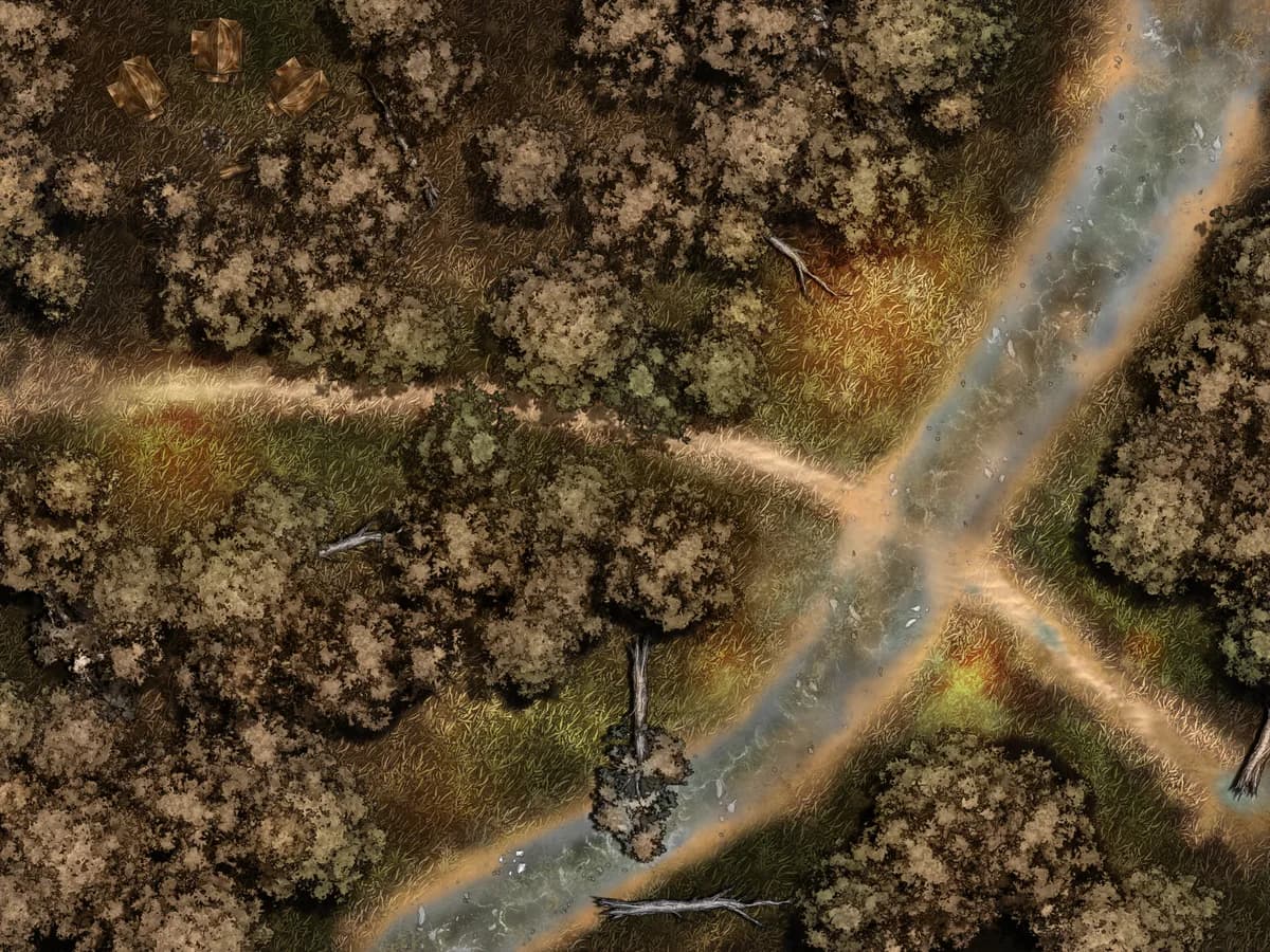 The Canopy Road